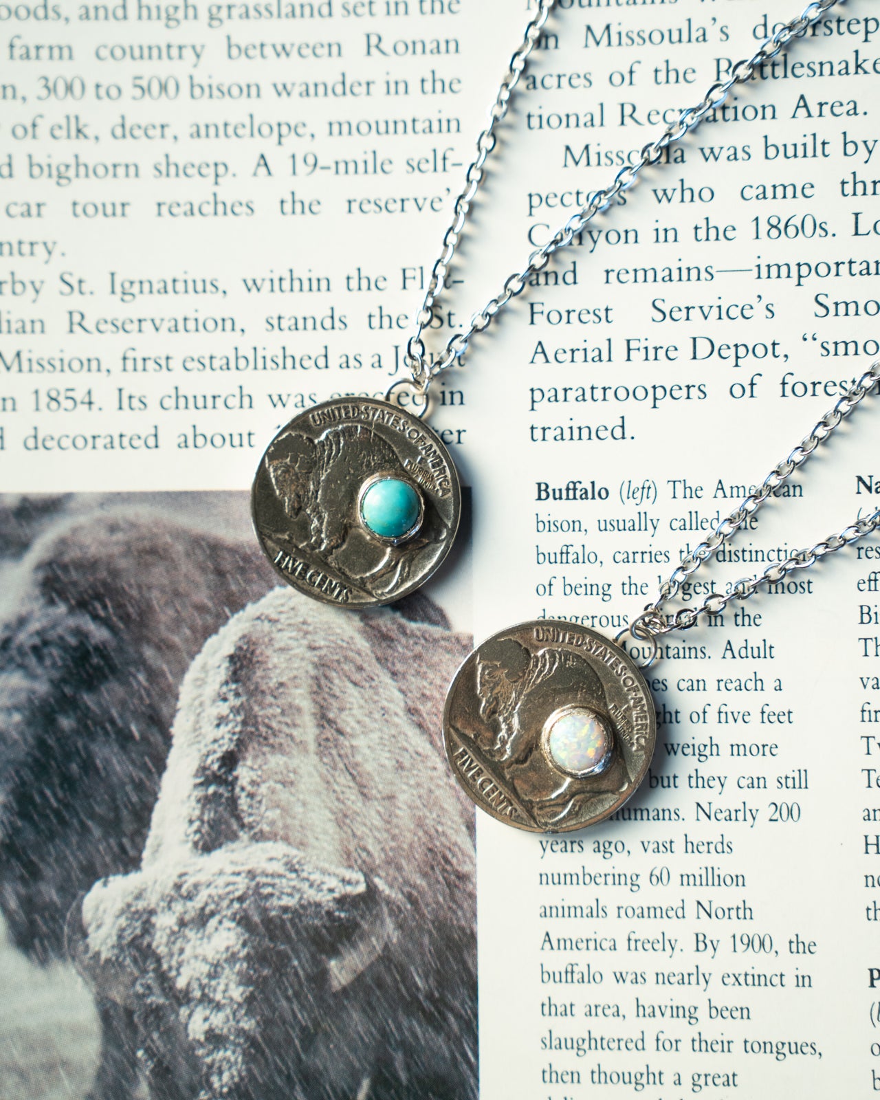 Buffalo Nickel Necklace