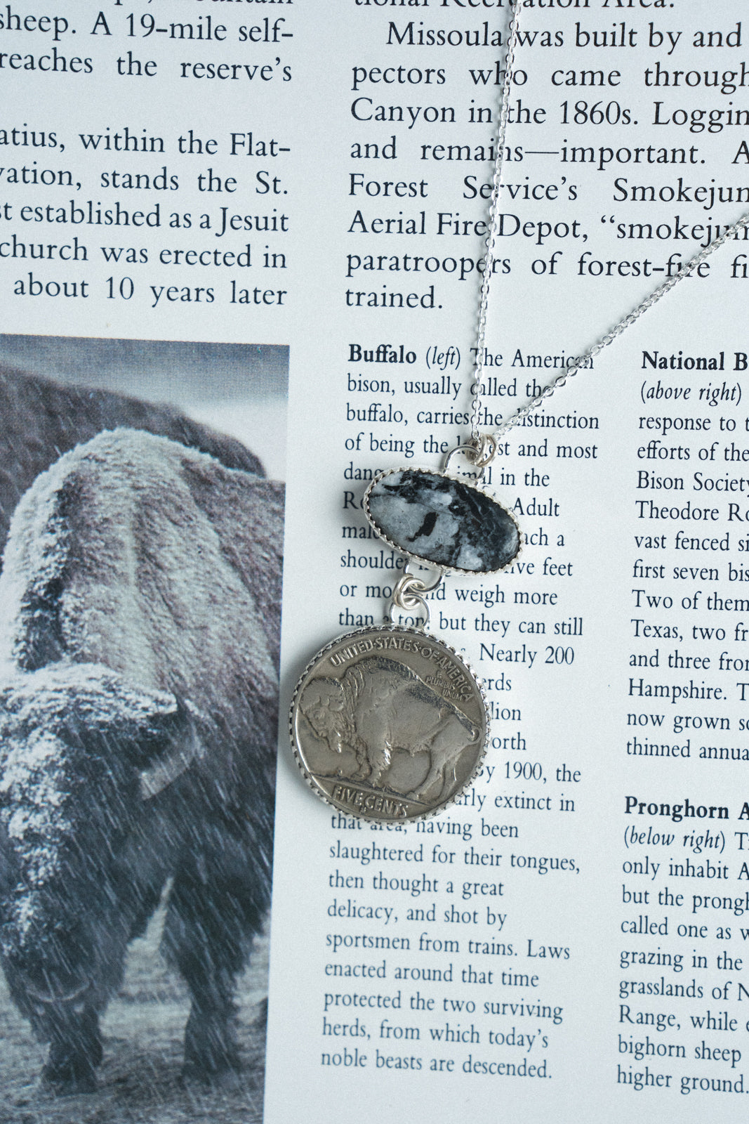 The High Plains Necklace - White Buffalo