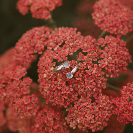 Split Band Ring — Large Stone