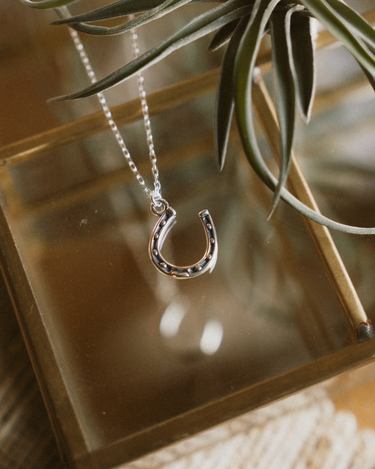 Horseshoe Charm Necklace